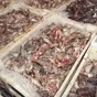 рыбные отходы в Москве