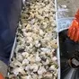 трубач в Южно-Сахалинске и Сахалинской области