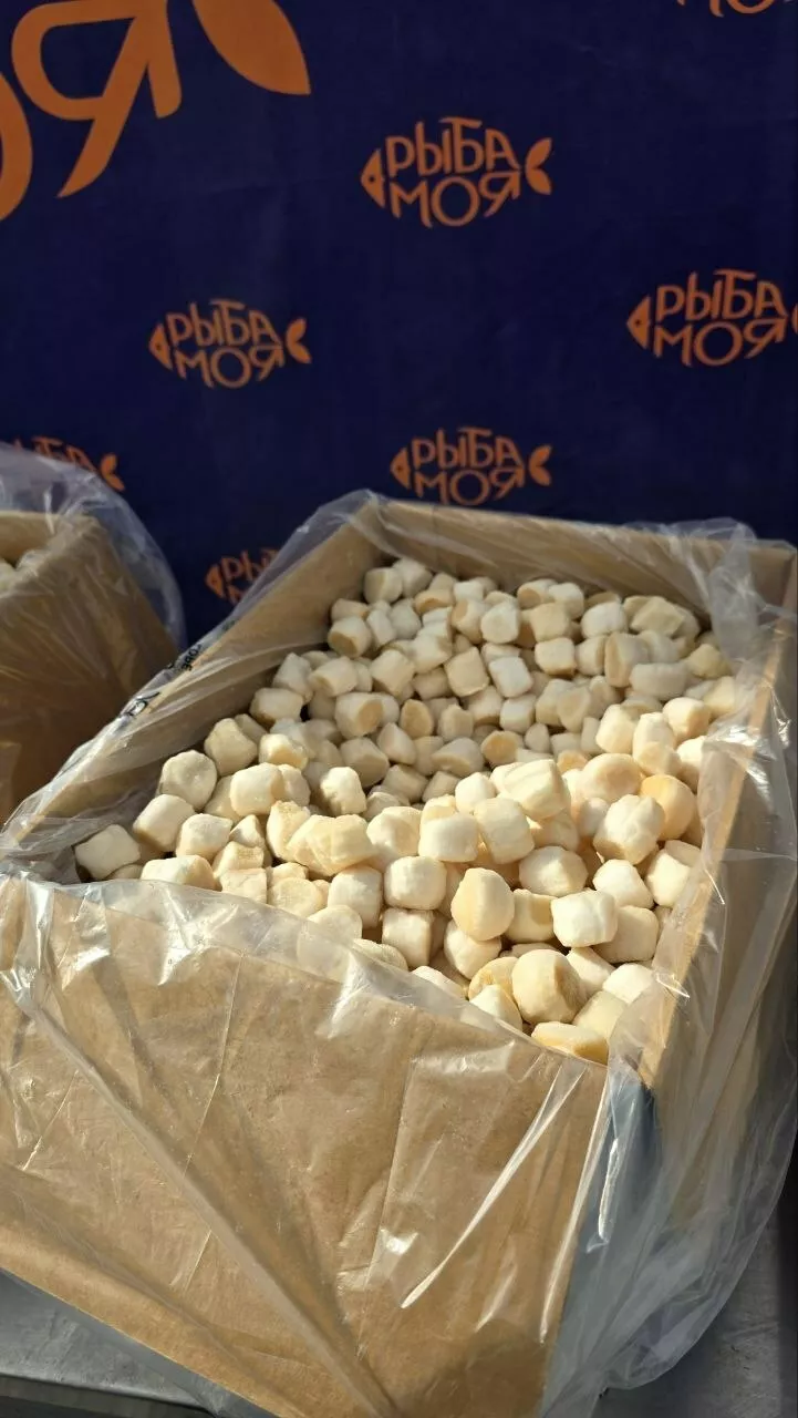 фотография продукта Филе гребешка курильского, размеры s/m 