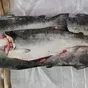 нерка пбг 100% перера в Владивостоке и Приморском крае
