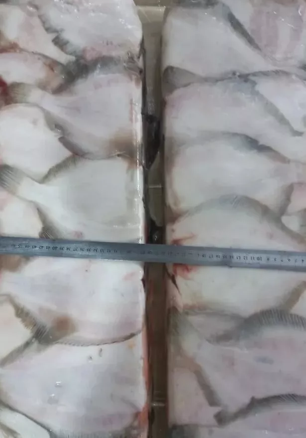 фотография продукта Камбала с/м бб бг разм. 2s
