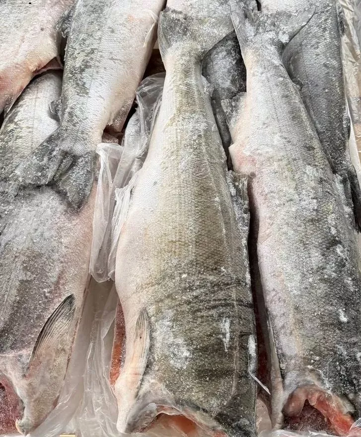 фотография продукта Кижуч бг с/м 1 сорт,без глазури