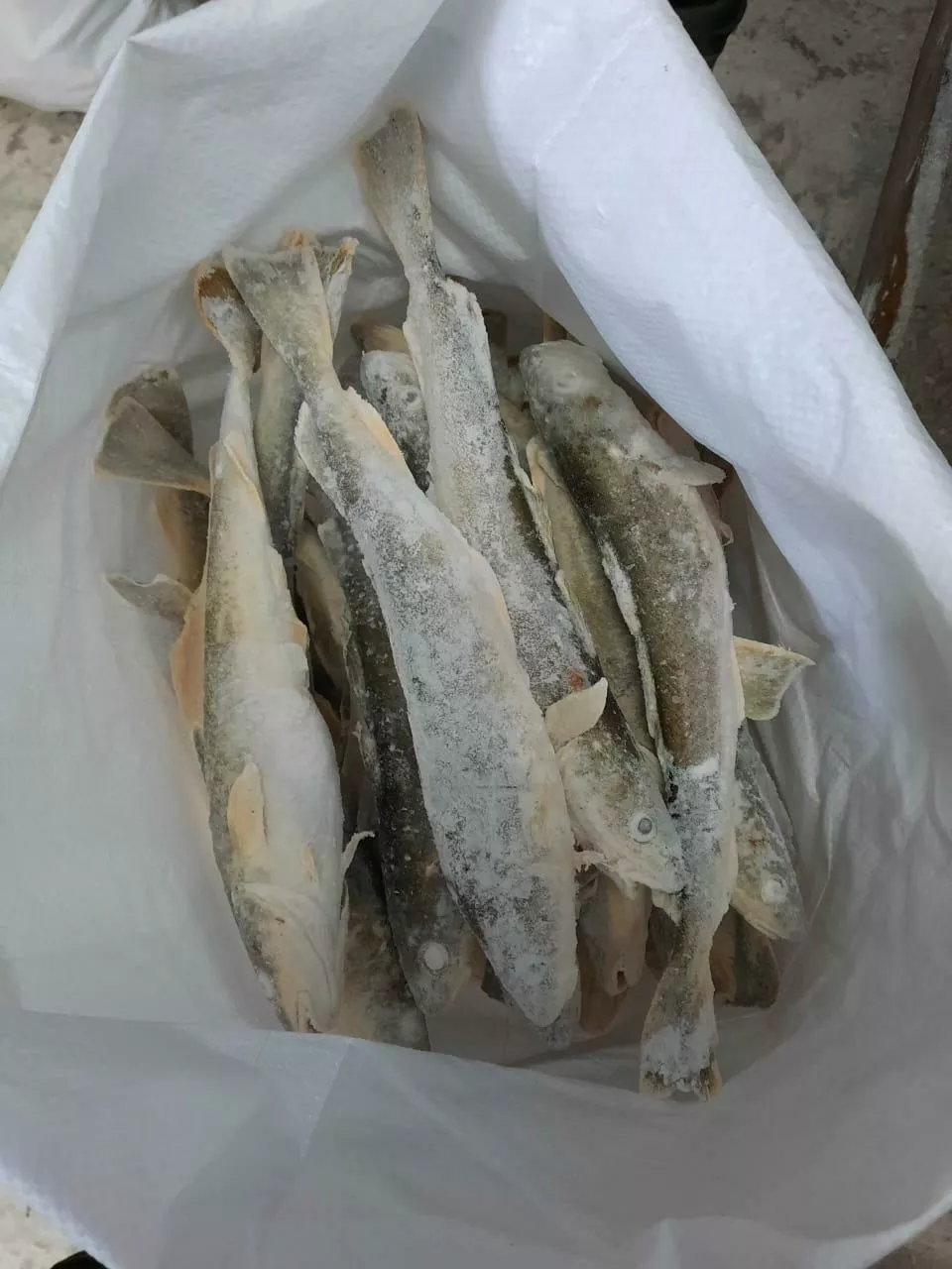 фотография продукта Навага сухой заморозки