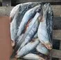 сельдь 500 в Новосибирске и Новосибирской области 2