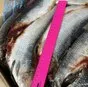 сельдь 500 в Новосибирске и Новосибирской области 4
