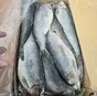 сельдь 500 в Новосибирске и Новосибирской области 3