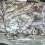 вобла с/м в Санкт-Петербурге и Ленинградской области 3