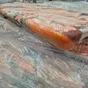 фарш форели, хребты, филе в Санкт-Петербурге
