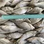 вобла. икряная. казахстан. в Самаре и Самарской области 4
