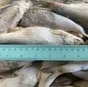 вобла. икряная. казахстан. в Самаре и Самарской области 3