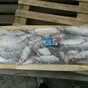 сельдь 200... сахалин в Новосибирске 2