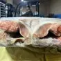 нерка пбг в Новосибирске и Новосибирской области 3