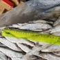 корюшка азиатская зубастая нр 17-20 в Москве 3