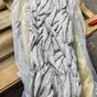 корюшка азиатская зубастая нр 17-20 в Москве