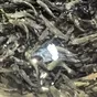 радужная форель 500... гр в Москве и Московской области