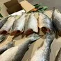 кижуч пбг., м(1,6-1,8кг) штучной замороз в Москве 3