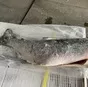 кижуч пбг., м(1,6-1,8кг) штучной замороз в Москве 4