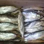 пелядь вяленая пелядь холодного копчения в Санкт-Петербурге 2