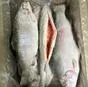 оптовая поставка форели из казахстана в Казахстане