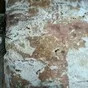 фарш желтоперого тунца по 255руб в Лакинске 4