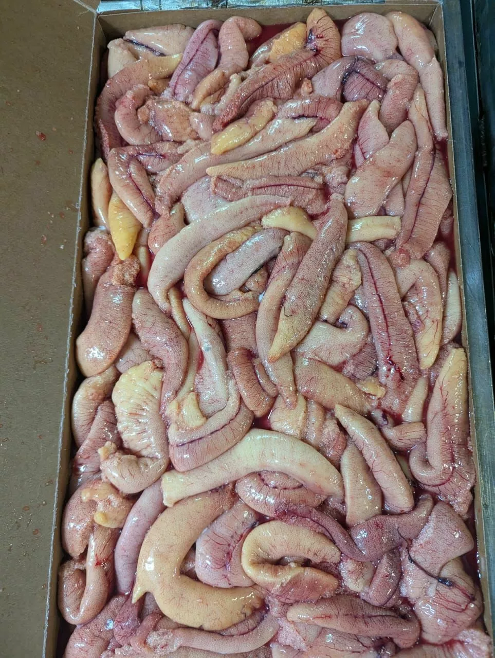 Фотография продукта Ястык сельди зрелой свежемороженый