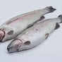 форель нр 0.8-1.2 турция в Краснодаре