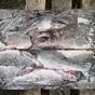 горбуша нр 1 сорт (карагинский тымлат)  в Владивостоке и Приморском крае 5