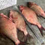 лещ мороженый блок в Новосибирске и Новосибирской области 3