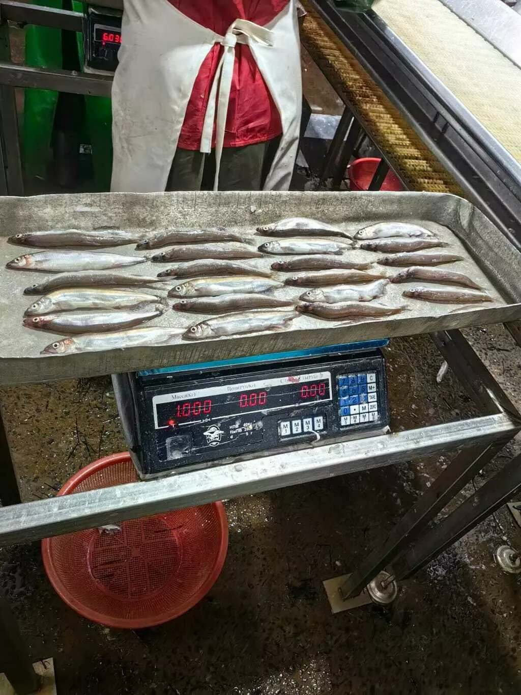 Фотография продукта Мойва