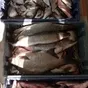 свежемороженая, копчёная, вяленая рыба в Ярославле и Ярославской области