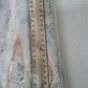 корюшка азиатская зубастая в Владивостоке