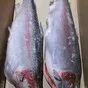 радужная форель для полуфабрикатов в Красноярске и Красноярском крае 2