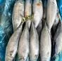 скумбрия в Новосибирске и Новосибирской области