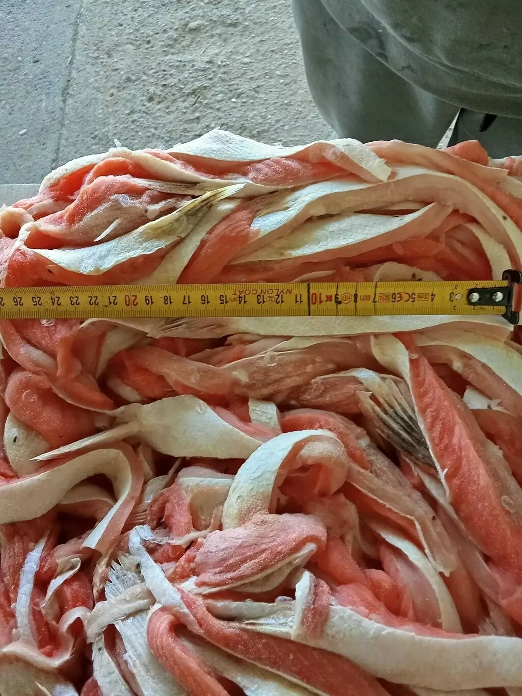 Фотография продукта Брюшки лосося с/м (блок,коробка)