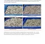 креветку vannamei hlso brine iqf  в Москве 3