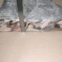 палтус тушка, японский рез, 1-2, мрм  в Санкт-Петербурге 3