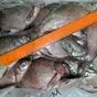 лещ мороженый  в Челябинске и Челябинской области 7