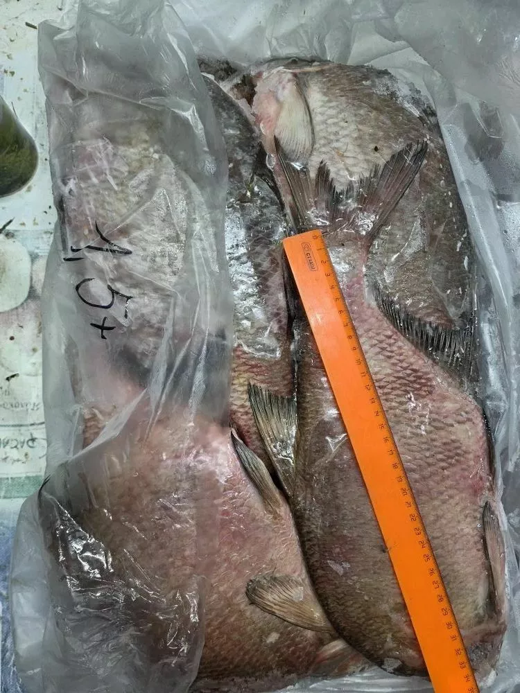 фотография продукта Лещ мороженый 