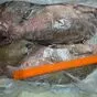 лещ мороженый  в Челябинске и Челябинской области 2
