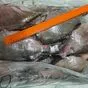 лещ мороженый  в Челябинске и Челябинской области 5