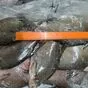 лещ мороженый  в Челябинске и Челябинской области 4