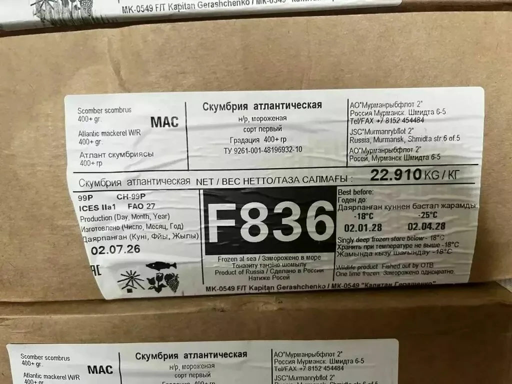 Фотография продукта Оптом скумбрия атлантическая 400