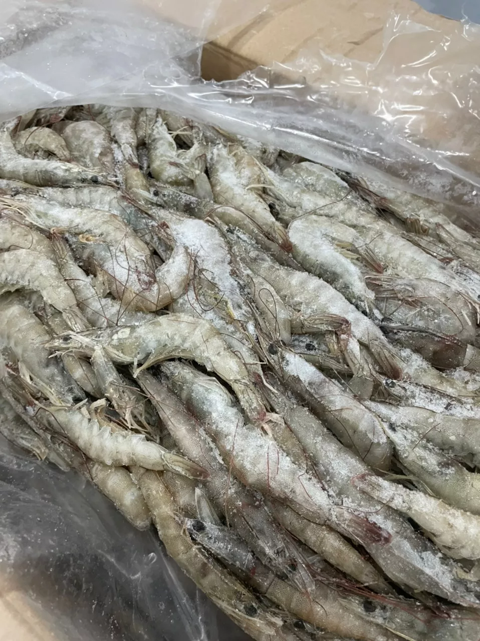 Фотография продукта Продажа креветок 