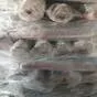 белуга иранская  в Астрахани и Астраханской области 5