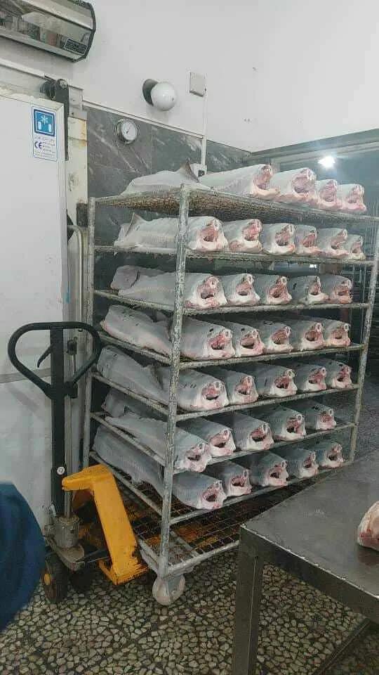 Фотография продукта Белуга иранская 