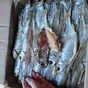 вобла каспийская оптом в Астрахани и Астраханской области 5