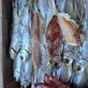 вобла каспийская оптом в Астрахани и Астраханской области