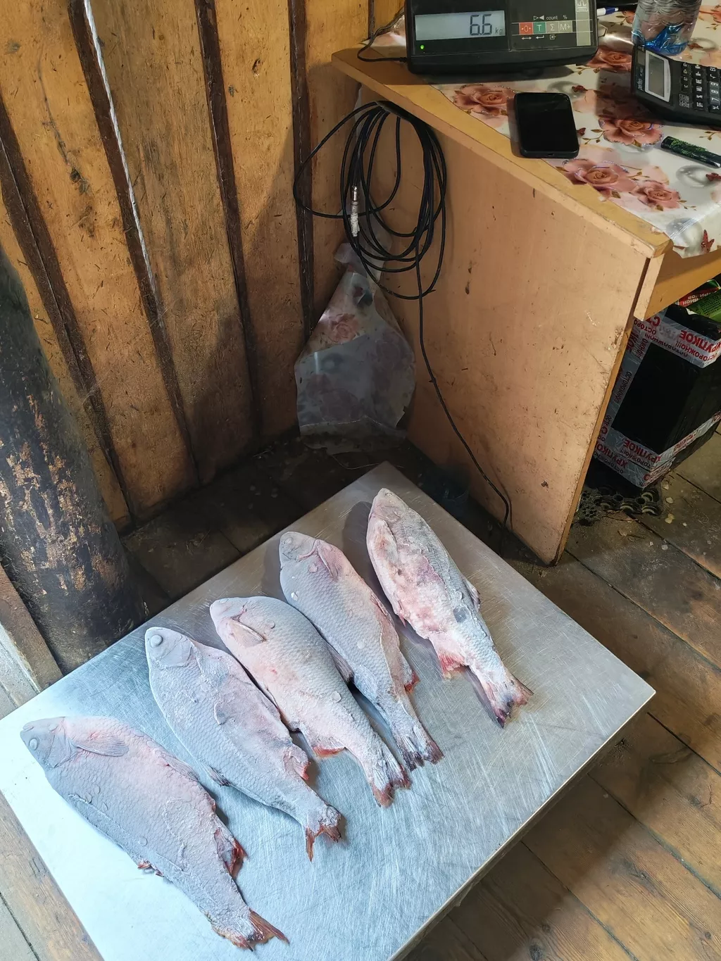 фотография продукта Язь. щука. окунь. плотва