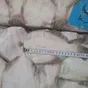 камбала бг.,ббр., s,м,l, морская, ск бсф в Москве