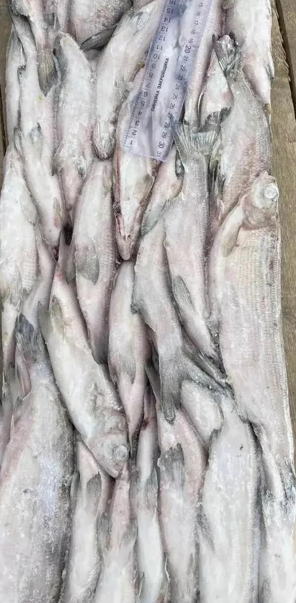 фотография продукта  сырок брикет вылов янао